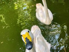 -海南热带野生动植物园