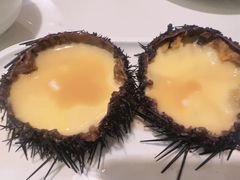 -船歌·鱼水饺青岛菜(石老人店)