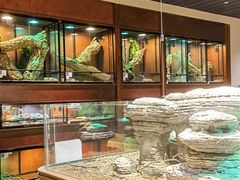 -帕帕拉兹宠物(亚洲旗舰店)