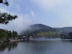 -庐山风景区花径公园