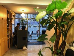 -AFA Hair studio·女士发型设计