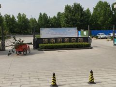 -合记烩面(高新区店)