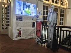 -Long Bar(莱佛士酒店)