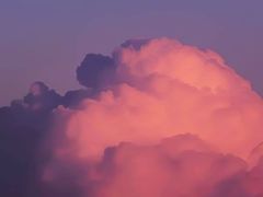 -东方体育中心(地铁站)