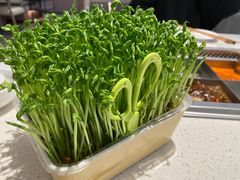 -海底捞火锅(王家湾摩尔城店)