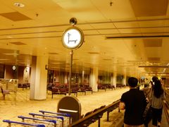 -新加坡航空公司(ION)