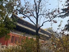 -潭柘寺景区