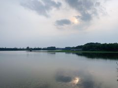 -大兴滨河森林公园