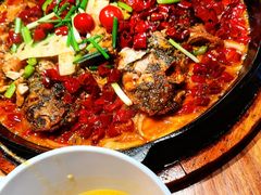 -老板恋上鱼(恒隆广场店)