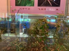 -上海昆虫博物馆