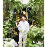 春天开在了花里花俏的地方💐