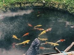 -顺风山庄(水濂山店)