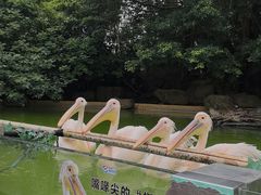 -珠海长隆海洋王国