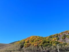 -塞罕坝国家级自然保护区