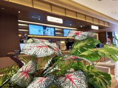 -霸王茶姬(南亚风情第壹城店)