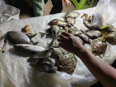 -海南清水湾莱佛士酒店