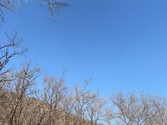 -白水寺森林公园