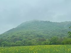 -八卦田遗址公园