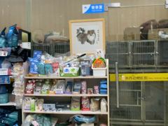 -米苏动物医院·犬猫专科·骨科外科内窥镜