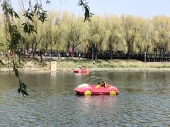 -羊亭河湿地公园