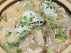 -烧蠔帮·生蚝海鲜牌档(观海店)