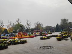 -临沂动植物园