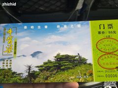 -牛背梁国家森林公园