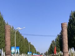 -乌梁素海景区