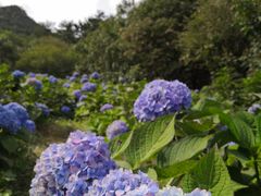 -昆嵛山石门里景区
