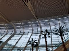 -合肥新桥国际机场-航站楼