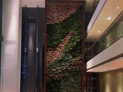 -深圳湾木棉花酒店