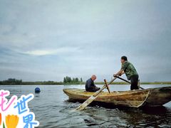 -白洋淀景区