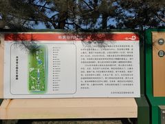 -玲珑塔公园