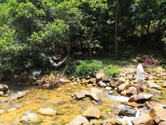 -广州白江湖森林公园