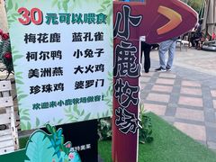 -王府井奥莱棋盘山小镇