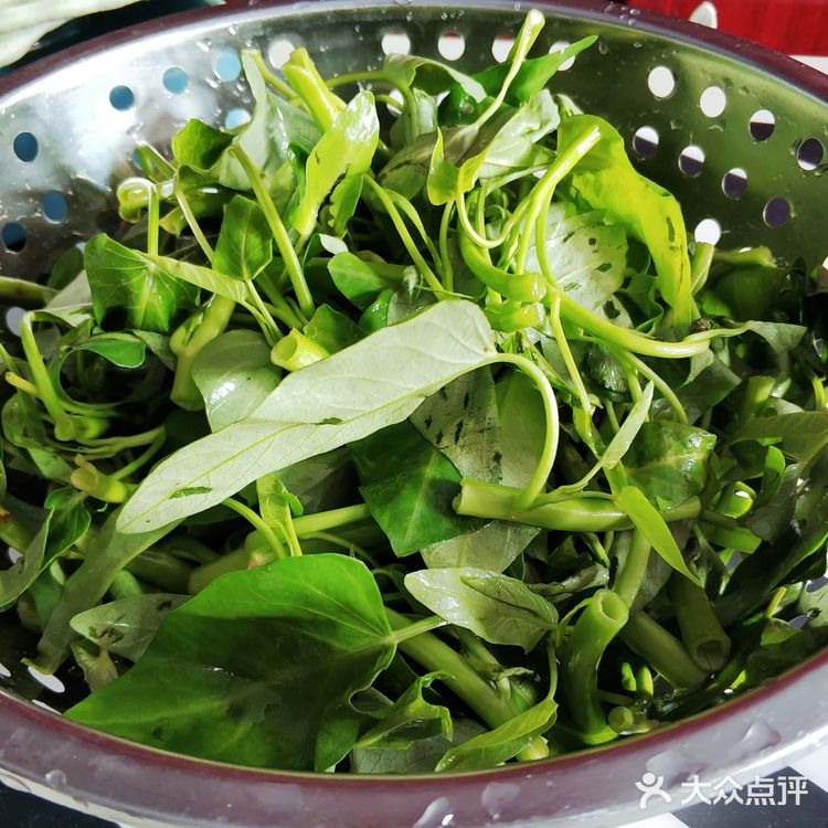 七天做菜打卡之炝炒空心菜