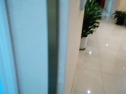 -碧莲盛·不剃发植发