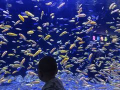 -成都浩海立方海洋公园