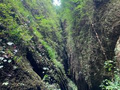 -青城山