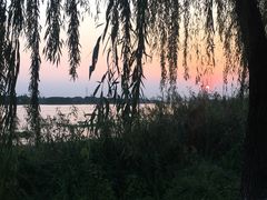 -太阳岛度假酒店