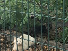 -北京外交人员免税商店(分店)