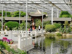 -九天休闲谷