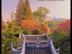 -惠山古镇·寄畅园