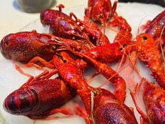 -红盔甲·小龙虾(人民广场店)