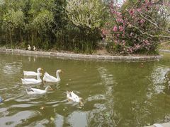 -上海交通大学(闵行校区)