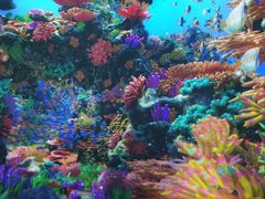 -众品老方子锅贴甜沫(李村店)