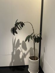 点击看大图 -CRAIE可瑞医美式医美·111SKIN