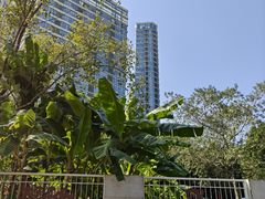 -荔湾区儿童公园