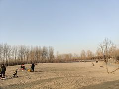 -东郊湿地公园