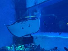 -波塞冬海底世界